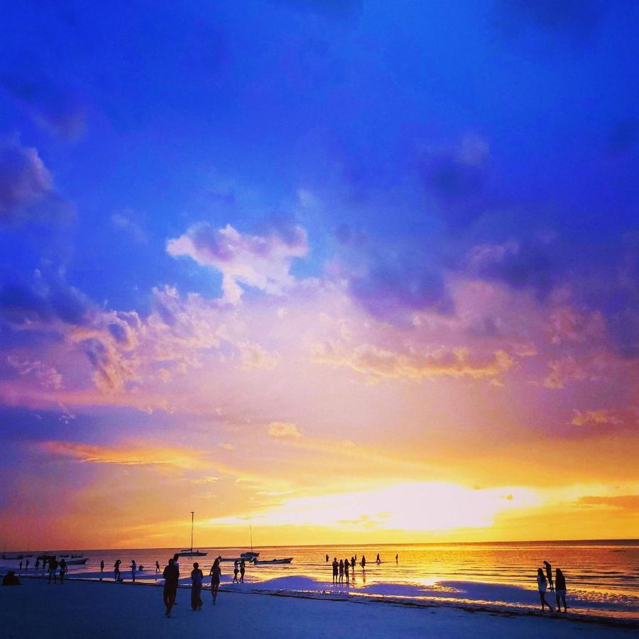Ecoco Holbox - Eco-Chic - Cabanas De Madera - Holbox Retreat (Adults Only) Pensionat Exteriör bild
